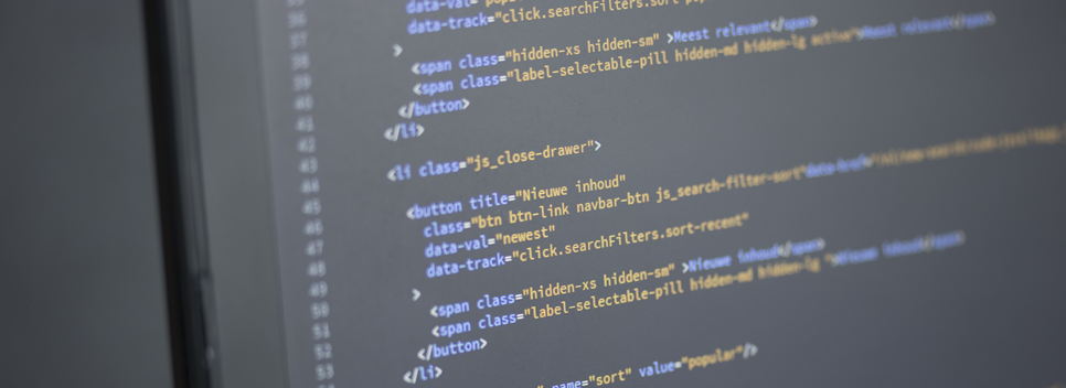 Custom vs. Standardized API